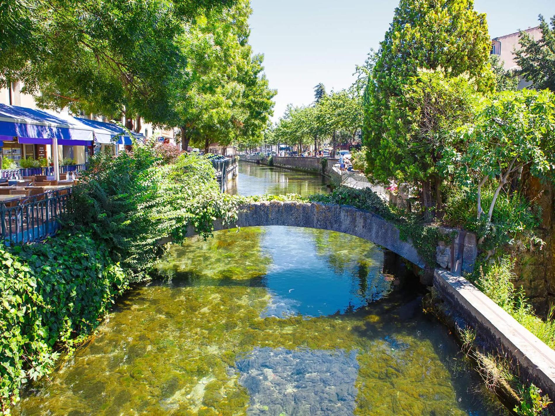 Gite De L'Olivier, Classe, Climatise, Jardin Avec Parking Gratuit Devant Le Logement Et A 5 Minutes Du Centre-Ville A Pied LʼIsle-sur-la-Sorgue Exterior foto